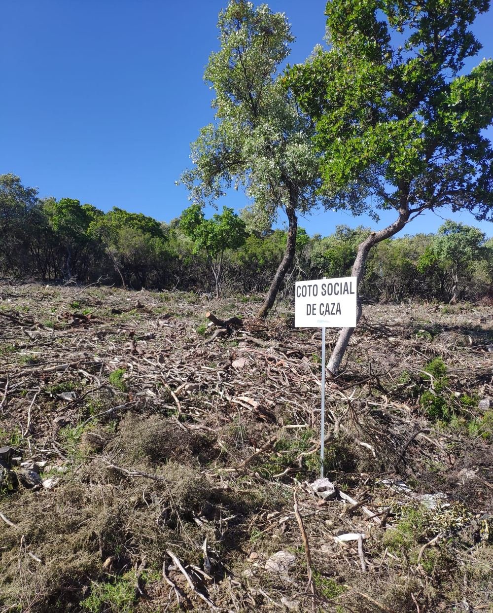 Terreno limpio y triturado en una finca